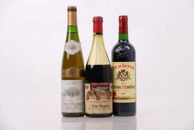 trois bouteilles de vin sont alignées sur une surface blanche