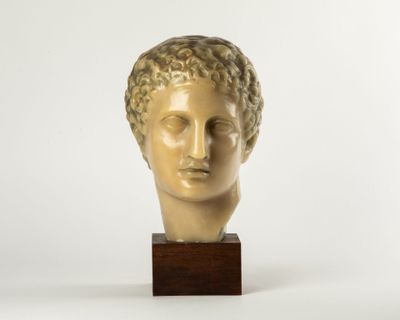 marble head of a man with curly hair on a wooden base