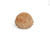 an image of a piece of bread on a white surface