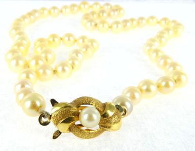 pearl necklace with a gold snake clasp and pearls on a white background