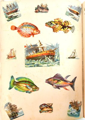 un livre contenant des images de différents types de poissons