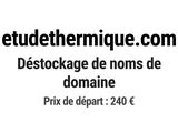 Photo 1/1 du lot