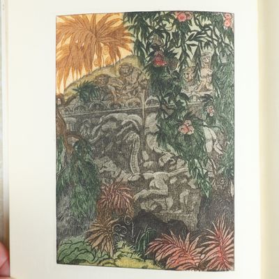 a picture of a book with a picture of a man in a jungle