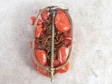 a red coral in a wire basket on the floor
