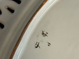 a close up of a white plate with writing on it