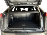 the back of a car with its trunk open showing the cargo compartment
