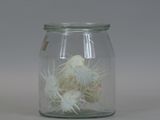 a glass jar with a cactus in it on a table