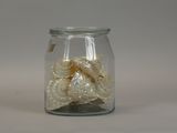 a glass jar filled with small shells in it