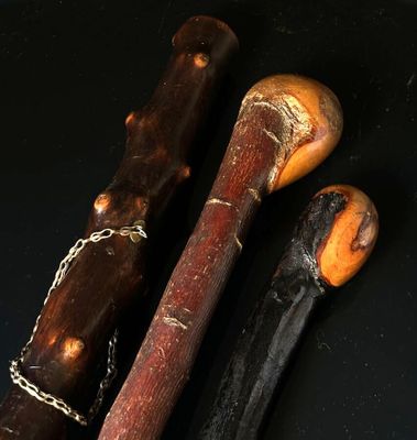 Lot de 3 cannes en bois, les fûts conservant les excroissanc…