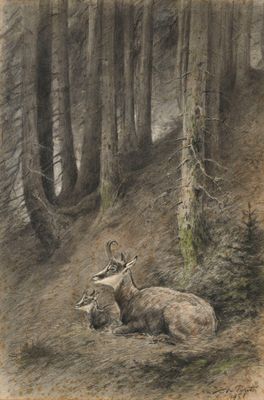 dessin représentant un cerf couché dans les bois, avec un oiseau sur le dos