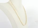 a close up of a necklace on a mannequin with a white background