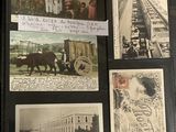 Plusieurs vieilles photos représentant des personnes et des animaux sont rangées dans un classeur