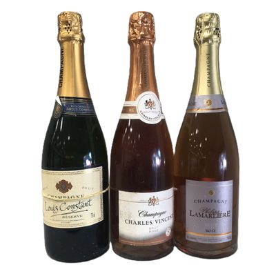 Ensemble comprenant 3 bouteilles :