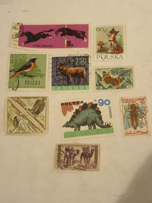 many different stamps on a table with a person holding a cell phone