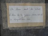 Photo 4/4 du lot