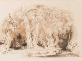 dessin représentant un ours dans une zone boisée, avec des arbres et des buissons