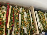 de nombreuses caisses de tournesols exposées dans un magasin