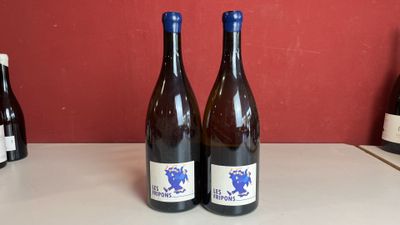 Deux bouteilles de vin sont posées sur un comptoir devant un mur rouge.