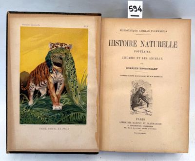an open book with a picture of a tiger and a monkey