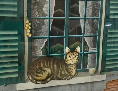 a cat that is sitting on a window sill