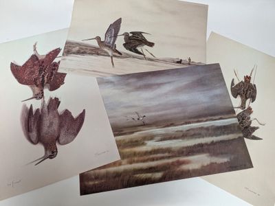 quatre cartes représentant des oiseaux sont posées sur une table, accompagnées d'aquarelles