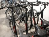 a lot of bikes that are parked in a row