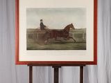 trois photos encadrées représentant des chevaux galopant dans un champ, posées sur un socle en bois