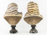 pair of carved marble busts of zebras on pedestals