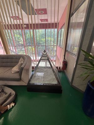 un canapé et un fauteuil dans une pièce au sol vert