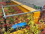 une clôture d'où poussent plein de plantes