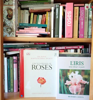 many books on a book shelf in the room