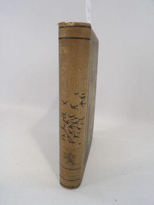 un vase en bois orné d'oiseaux sur fond blanc