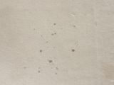 a lot of brown spots on the surface of the paper