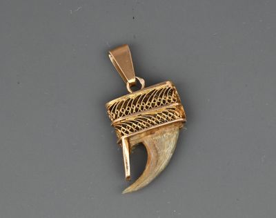 a close up of a gold pendant with an animal ' s head on it