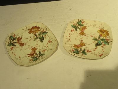two plates that are sitting on a table