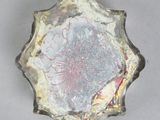 an image of a glass bowl with a flower design on it