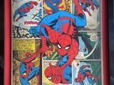 une image encadrée tirée d'une bande dessinée de Spider-Man
