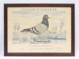 une photo d'un pigeon perché sur une boîte