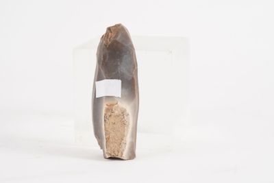 an image of a piece of wood with a piece of wood sticking out of it