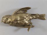 a gold bird brooch on a white surface