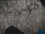 a black and white photo of a fence with barbed wire