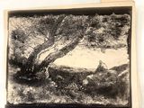 la photo d'une photo représentant un homme assis sous un arbre