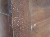 a close up of a piece of wood with a tag on it