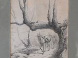 drawing of a deer in a wooded area with a tree in the foreground