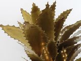 a plant that is sitting in a vase on a table