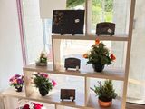 a display of flowers and plants on a shelf in a room