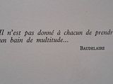 Photo 6/6 du lot