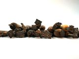 a pile of nuts and acorns on a white surface