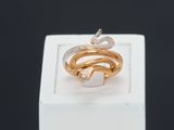 a close up of a ring with a snake on top of it