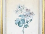 Photo 9/15 du lot